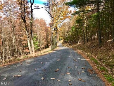 0 Moyers Gap Road (Stuffle Run) unit WVPT2000384, Sugar Grove, WV 26815 - photo 4