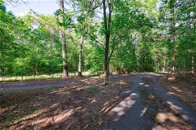 View of road with a view of trees