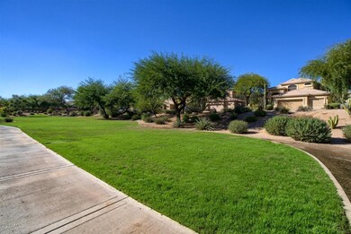 Beautiful parkway in front of home