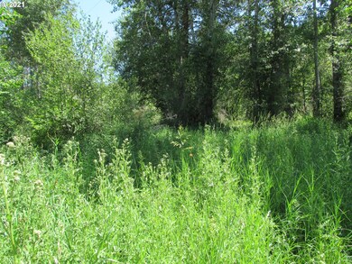 0 Salmon Way unit 21046740, Imnaha, OR 97842 - photo 3