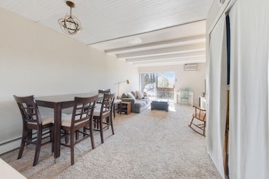 380 Ramsey St unit 1B, Saint Paul, MN 55102 - photo 5