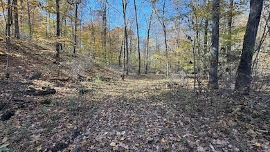 0 Gloryville Rd unit LotWP001, Freedom, IN 47431 - photo 6