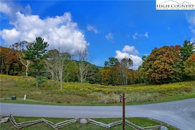 55 Eagle Creek Trail, Beech Mountain, NC 28604 - photo 5