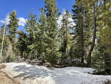Lots of Trees