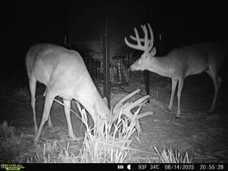 0000 Cr 3840, Coalgate, OK 74538 - photo 7