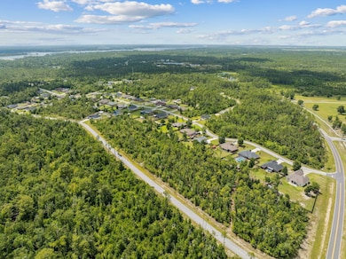 70 Lots Cedar Creek Chase Dr, Southport, FL 32409 - photo 2