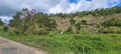 1 Carr 726 Km 1 8 Bo Caonillas, Aibonito, PR 00705 - photo 6