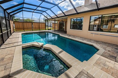 Stunning backyard oasis