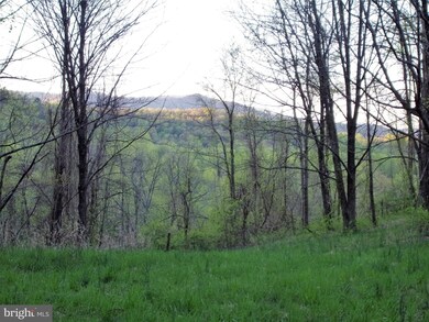 0 F T Valley Rd unit VARP107254, Sperryville, VA 22740 - photo 3