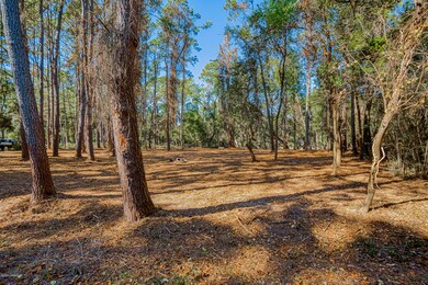_DSC6790
