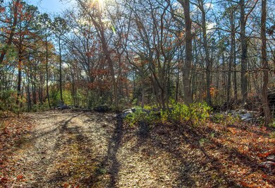 0 Cranberry Acres Way, Tisbury, MA 02568 - photo 5