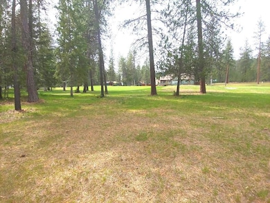 183 E Trappers Loop, Chewelah, WA 99109 - photo 2