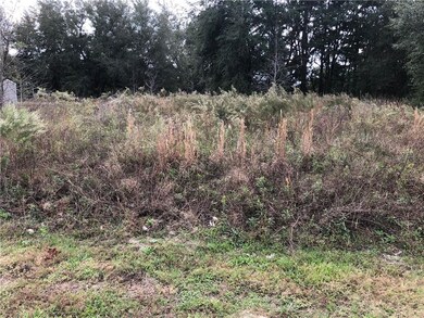 Lot 4 SW 102nd St, Dunnellon, FL 34432 - photo 4