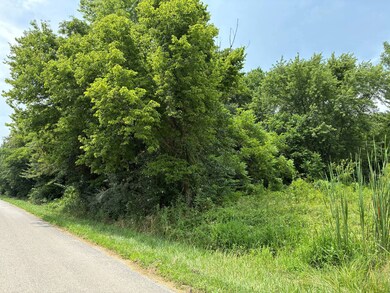 000 N Frontage Ln, Bridgeport, IL 62417 - photo 4