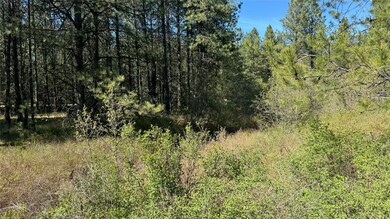 NHN Yaak River Rd, Yaak, MT 59935 - photo 2