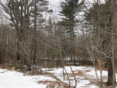 172 Walsh Rd, Sanbornville, NH 03872 - photo 5