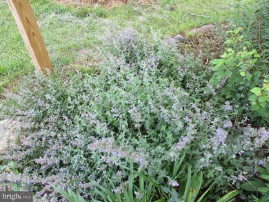 153 Freshwater Dr, Bunker Hill, WV 25413 - photo 3