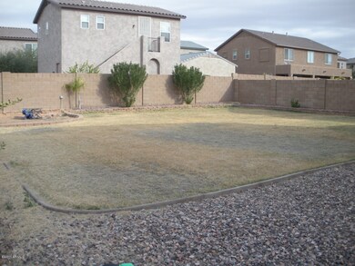 BACK YARD