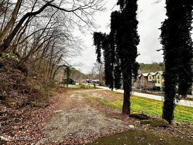 0 Cherohala Skyway unit 1323523, Tellico Plains, TN 37385 - photo 4