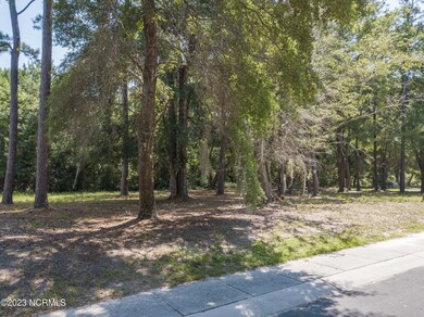 9136 E Bramshill Rd SW, Calabash, NC 28467 - photo 4