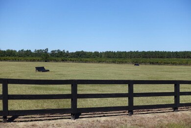 Equestrian Amenities