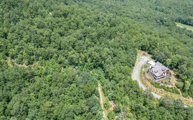 Additional View