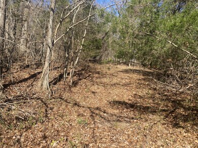 0 Scenic Dr unit RTC3059700, Pulaski, TN 38478 - photo 5