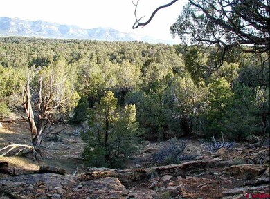 0 Road 22 7 unit 724943, Cortez, CO 81321 - photo 4