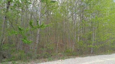 greenforest3