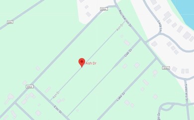 0 Ash Dr, Brazoria, TX 77422 - photo 4