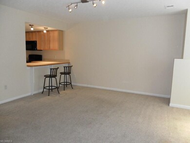 Dining/Living Room on Lower Level. Great Rental un