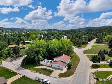 3921 Crocus Ln, Rapid City, SD 57702 - photo 3