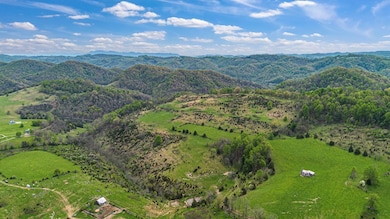 Tbd Farming Acres, Duffield, VA 24244 - photo 6