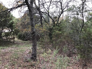 41063 Heartwood Cir, Whitney, TX 76692 - photo 7