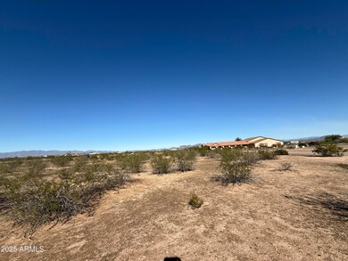 0 W William Rd unit B, Aguila, AZ 85320 - photo 6