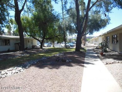 Silverbell courtyard