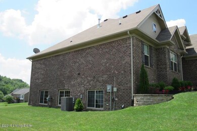 Basement Large Windows