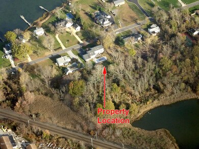 Aerial Shot - Peninsula
