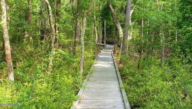 20210117164746811335000000-o (2)