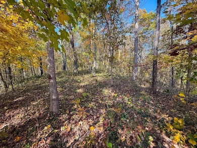 0 E Little Forest Run Rd, Reedsville, OH 45772 - photo 7