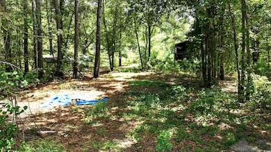 TBD Vance Ln, Nichols, SC 29581 - photo 2