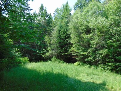 00 Hoyt Rd, Stewartstown, NH 03597 - photo 3