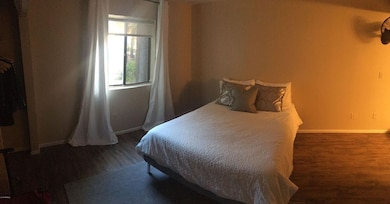 7777 E. Main Street # 164 - BEDROOM