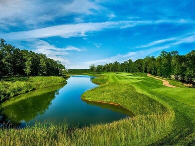 120 Palmer Dr, Branson, MO 65616 - photo 5