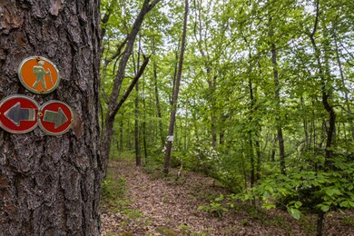 3L6A0580_2048px