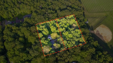 DJI_0880