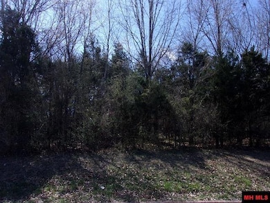 770-05063-000 8th St, Flippin, AR 72619 - photo 4