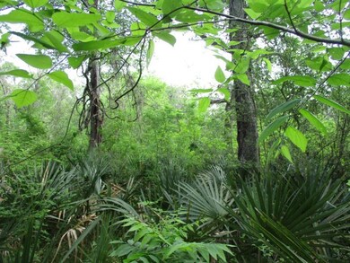 000 County Road 858, Brazoria, TX 77422 - photo 3