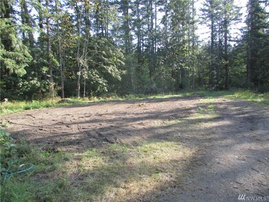 23820 S Prairie Rd E, Buckley, WA 98321 - photo 6