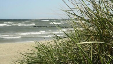 Beach and dune